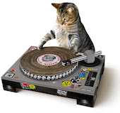 Cat Scratch Mixing a Record